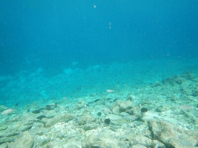 Raraka, Sous l’eau  5 