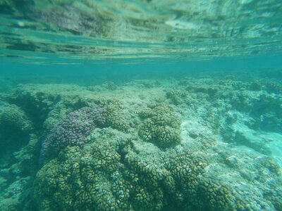 Raraka, Sous l’eau  10 