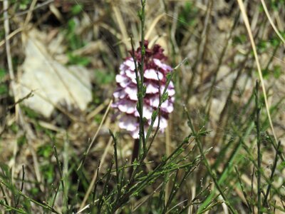 Tour du Morgonnet  , IMG_8414