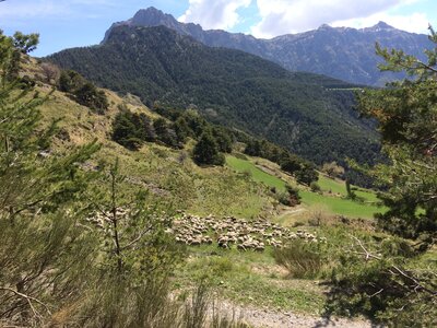 Tour du Morgonnet  , IMG_8894