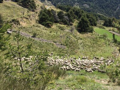 Tour du Morgonnet  , IMG_8896