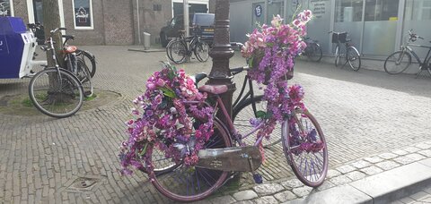 weekend amsterdam, 20220504_170530