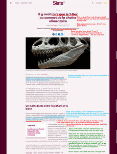 Zèbres, 2021-09-tyranosaure nul