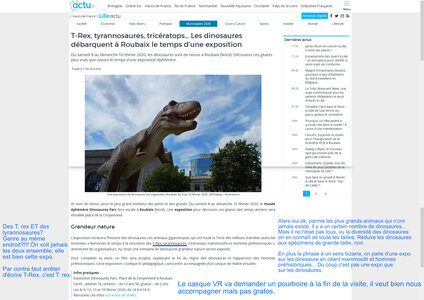 Zèbres, trex et tyrano
