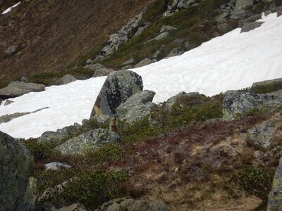 2022-05-14 Montaigu, DSCN9327  Copier 