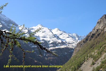 Refuge des Bans, Refuge des Bans 004