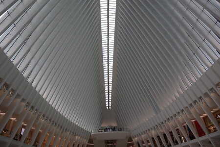 USA 2022, 2022-03-24_13h00m37s