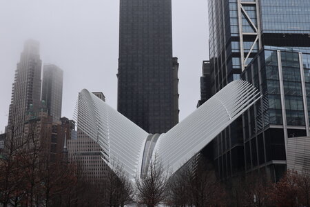 USA 2022, 2022-03-24_13h11m54s
