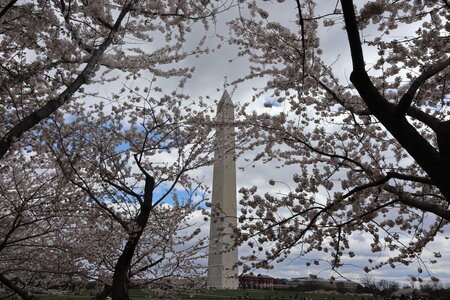 USA 2022, 2022-03-27_13h07m31s