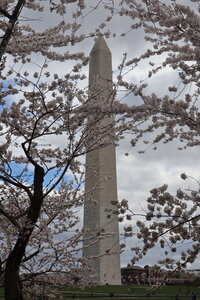 USA 2022, 2022-03-27_13h08m01s