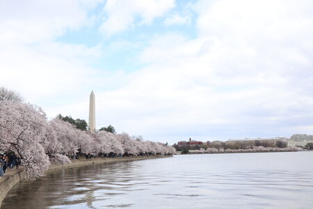 USA 2022, 2022-03-27_14h20m49s