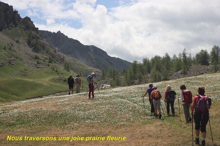 Lac du Lauzet, Lac du lauzet 020