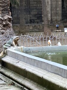 BARCELONE , IMG_0814