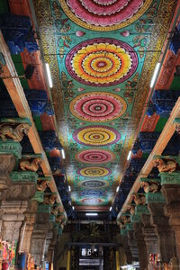 inde du sud / gilles, IMG_5708