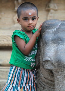 inde du sud / gilles, IMG_5745