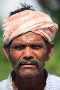 inde du sud / gilles, IMG_5808