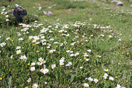La Croix d'Aquila, La croix d’Aquila 014