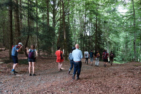 2022-05 Rencontre Acquisition et gestion collective des forêts à Lavoine (Allier), DSC05813