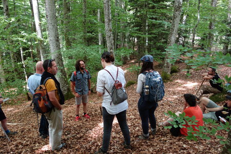 2022-05 Rencontre Acquisition et gestion collective des forêts à Lavoine (Allier), DSC05830