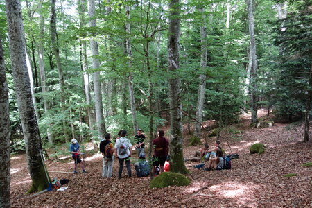 2022-05 Rencontre Acquisition et gestion collective des forêts à Lavoine (Allier), DSC05840