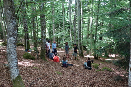 2022-05 Rencontre Acquisition et gestion collective des forêts à Lavoine (Allier), DSC05846