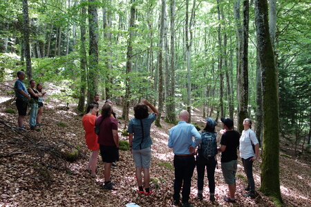 2022-05 Rencontre Acquisition et gestion collective des forêts à Lavoine (Allier), DSC05903