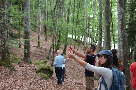 2022-05 Rencontre Acquisition et gestion collective des forêts à Lavoine (Allier), DSC05915