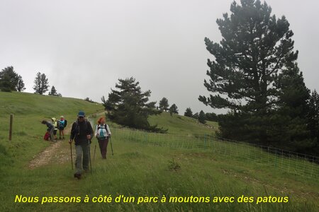 Le Rognon, Le Rognon 004