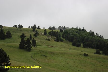 Le Rognon, Le Rognon 006
