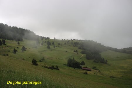 Le Rognon, Le Rognon 007