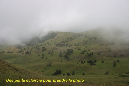 Le Rognon, Le Rognon 011