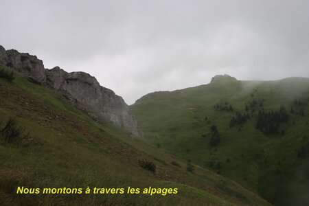 Le Rognon, Le Rognon 013