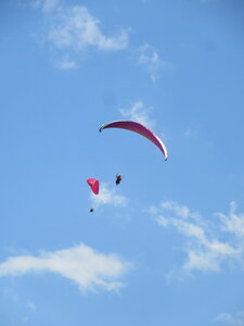 Breitenbach 11 juin 2022, IMG_3499