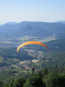 Breitenbach matin 12 juin, IMG_3540