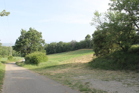 2022-06-05, IMG_2300