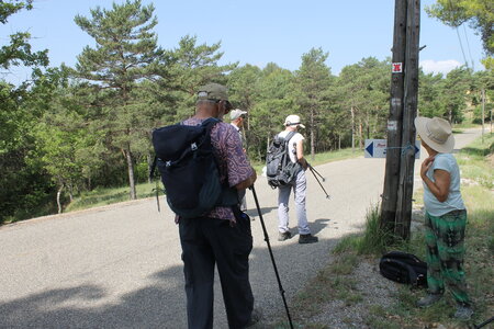 2022-06-05, IMG_2361