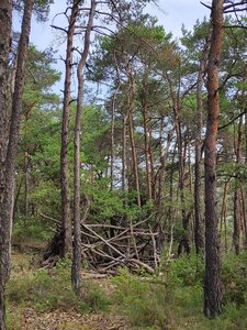 2022-06-05, IMG_20220605_094205