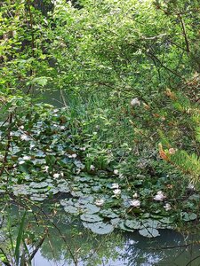 2022-06-05, IMG_20220605_100920