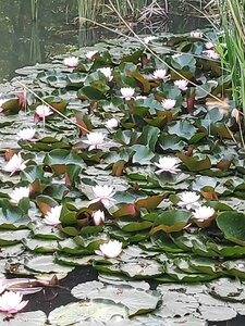 2022-06-05, IMG_20220605_101407