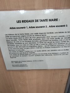 Biennale Internationale Art Textile 2022 Ville franche sur Saône, IMG20220609145934