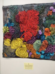 Biennale Internationale Art Textile 2022 Ville franche sur Saône, IMG20220609150715
