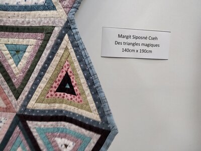Biennale Internationale Art Textile 2022 Ville franche sur Saône, IMG20220609153050