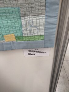 Biennale Internationale Art Textile 2022 Ville franche sur Saône, IMG20220609153150