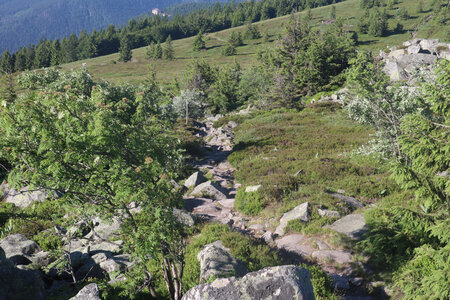 20220614 La Schlucht - Tanet - Lac Forlet - Lac Vert, IMG_3499_La montée vers le Tanet