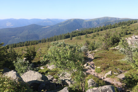 20220614 La Schlucht - Tanet - Lac Forlet - Lac Vert, IMG_3500_Vue en direction du Hoeneck et de l’Altenberg depuis le Tanet