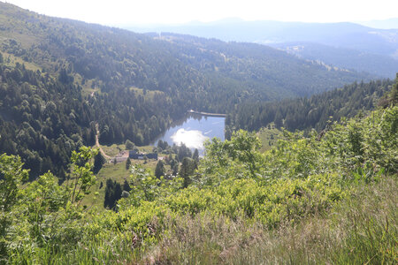 20220614 La Schlucht - Tanet - Lac Forlet - Lac Vert, IMG_3506_Le Lac Forlet vu depuis le Gazon du Faing