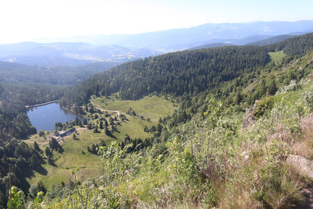 20220614 La Schlucht - Tanet - Lac Forlet - Lac Vert, IMG_3507_Le Lac Forlet vu depuis le Gazon du Faing