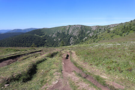 20220614 La Schlucht - Tanet - Lac Forlet - Lac Vert, IMG_3516_Le Gazon de Faîte vu depuis le haut du sentier Robert Neunlist