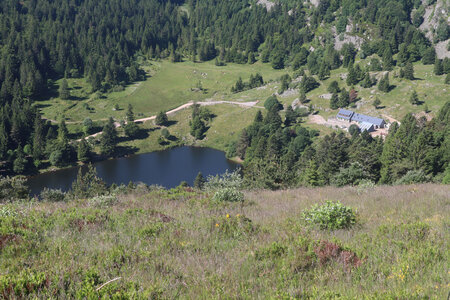 20220614 La Schlucht - Tanet - Lac Forlet - Lac Vert, IMG_3518_Le lac Forlet vu depuis le sentier Robert Neunlist