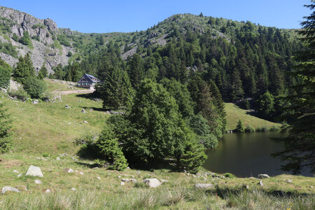 20220614 La Schlucht - Tanet - Lac Forlet - Lac Vert, IMG_3519_Le lac Forlet